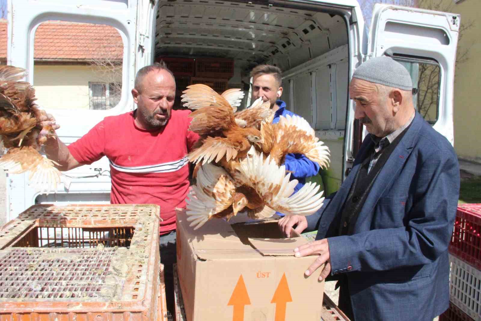 Karaman’da kendi yumurtalarını üretmeleri için köylülere tavuk ve horoz dağıtıldı
