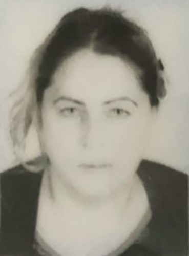 &Ccedil;anakkale&rsquo;de annesini bı&ccedil;akla &ouml;ld&uuml;ren şahıs tutuklandı
