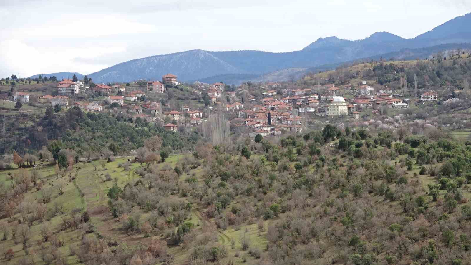 Tavşanlı’da yanan ormanlık alanlar tekrar ağaçlandırılıyor