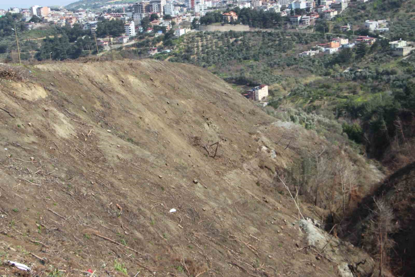 Orman yangınlarında yok olan alanlar yeniden ağaçlandırılıyor
