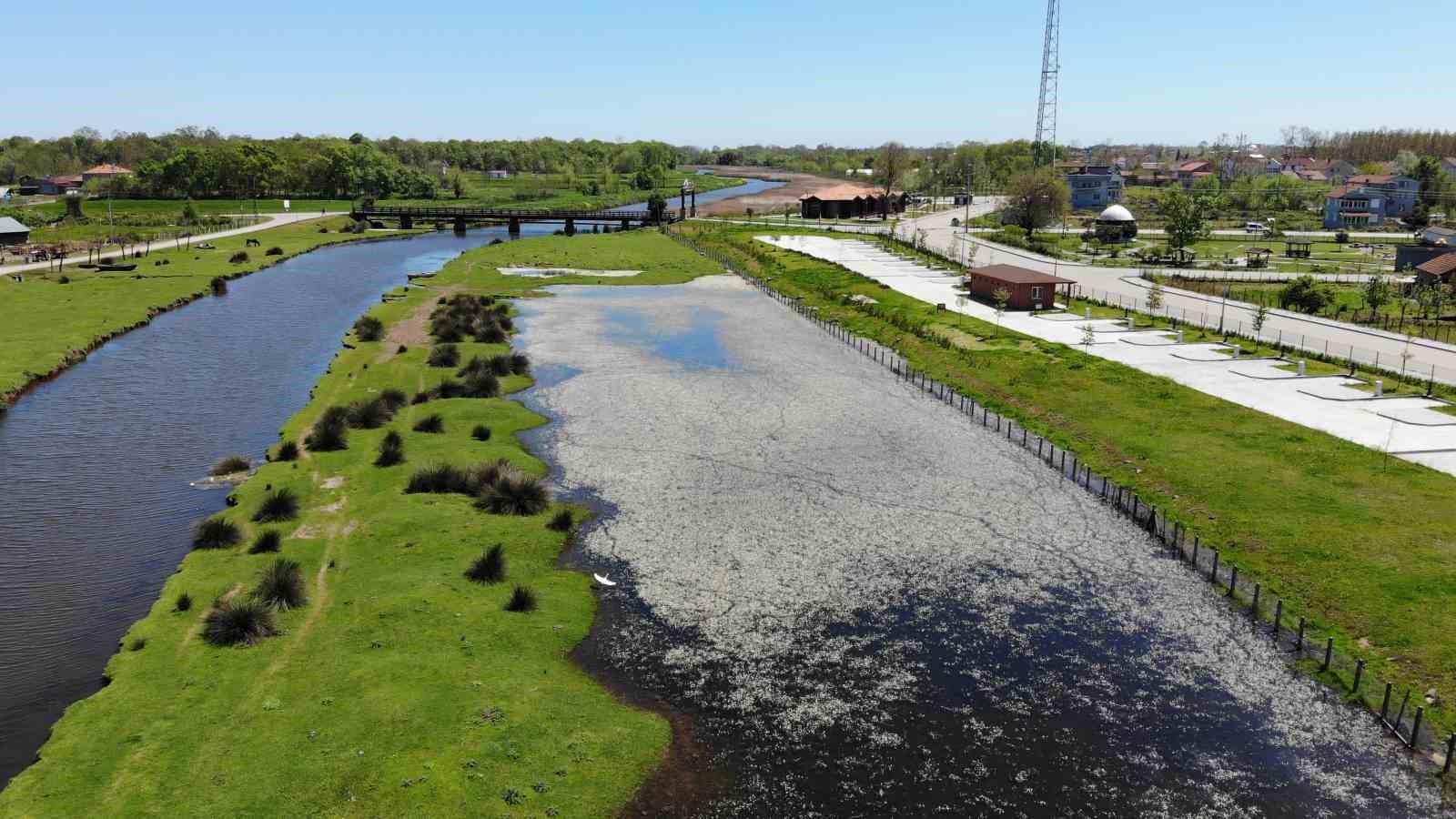 ’Samsun Turizm Master Planı’nın detayları belli oldu