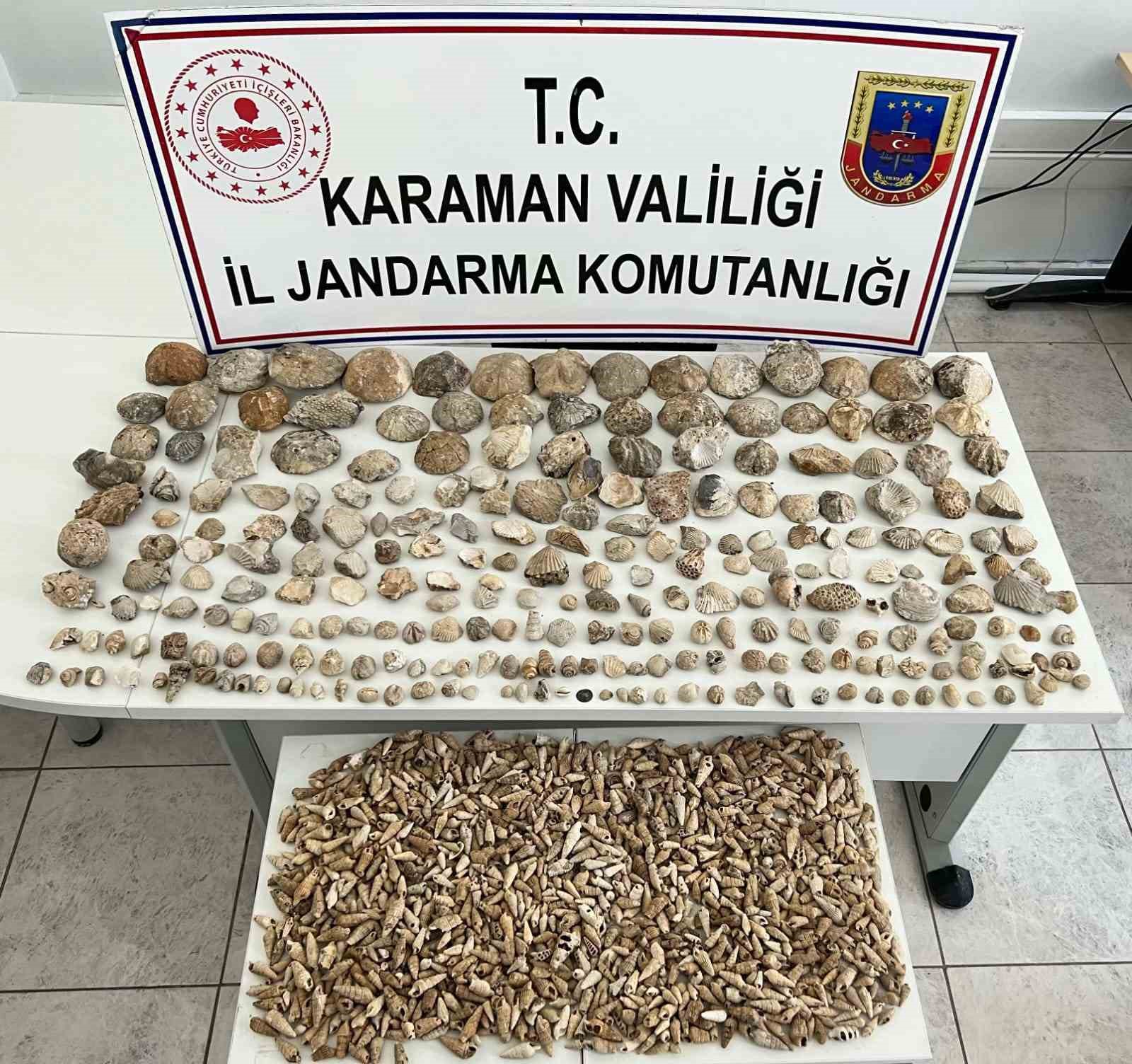 Karaman’da bin 780 adet bitki ve hayvan fosili ele geçirildi