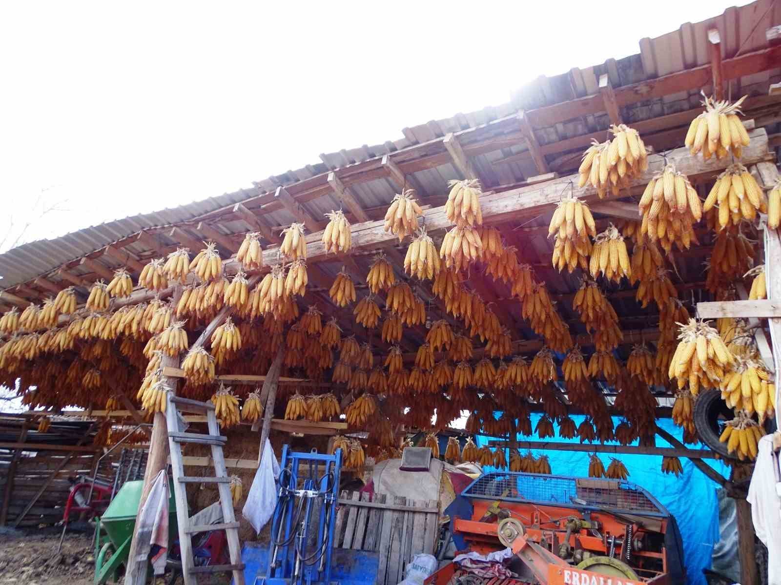 Hisarcıklı çiftçi mısırları tavana asarak muhafaza ediyor