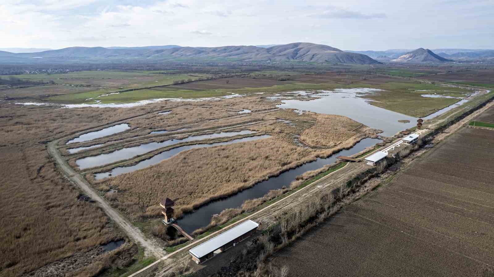 Tokat’ta kuşların göç durağı yeniden canlanacak