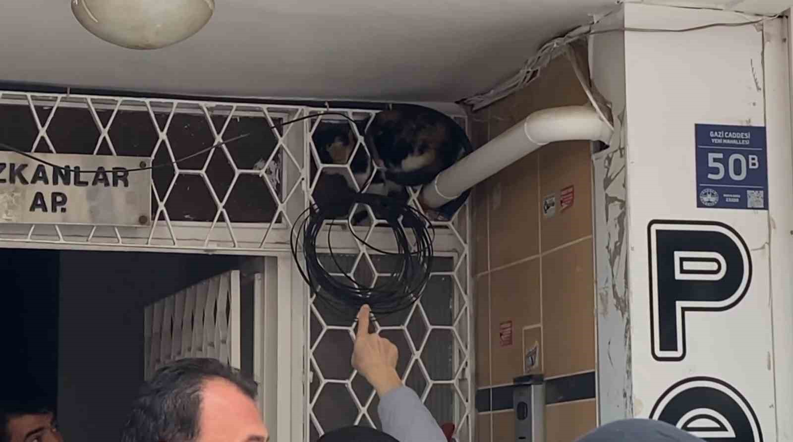 Kedi kurtarma operasyonunda ilginç anlar