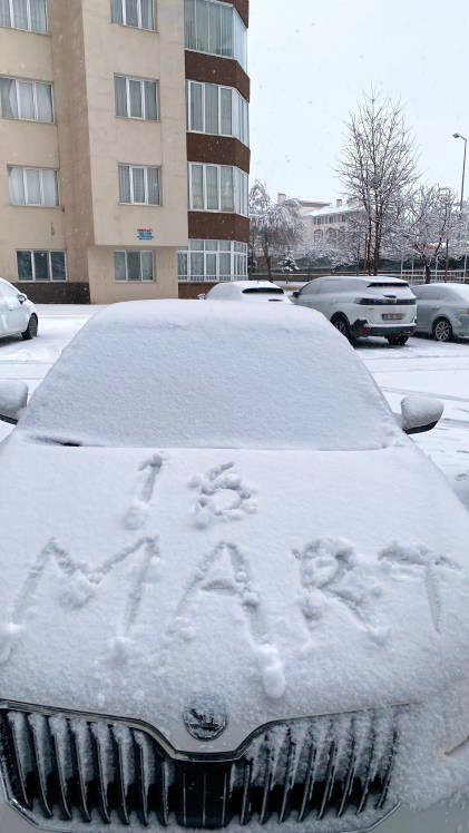 Erzurum’da aç kalan tilkiler kent merkezine indi