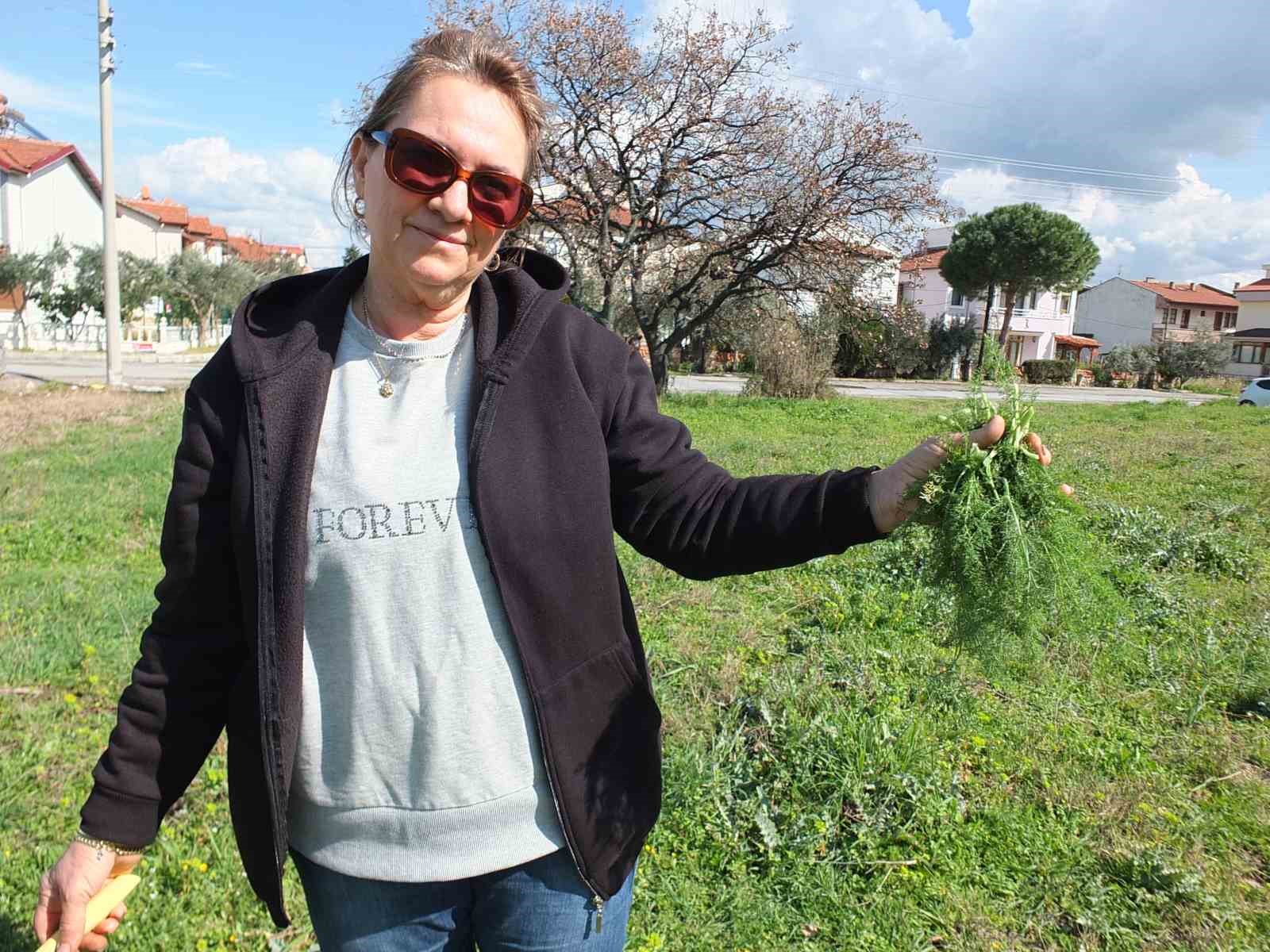 Balıkesir’de ot festivali düzenlenmesi istediler
