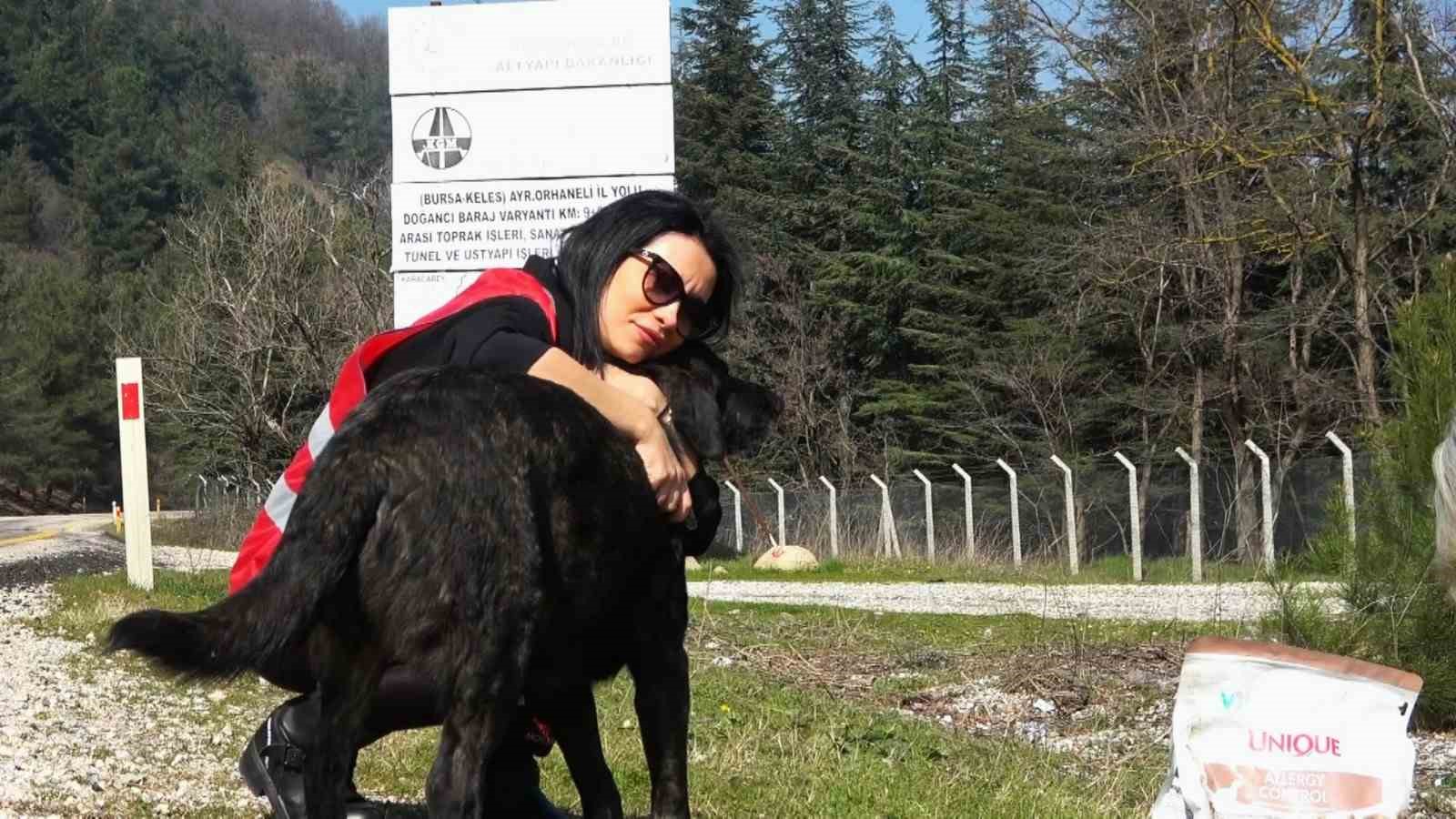 Geri d&ouml;n&uuml;ş&uuml;m atıkları sokak hayvanlarına mama oldu
