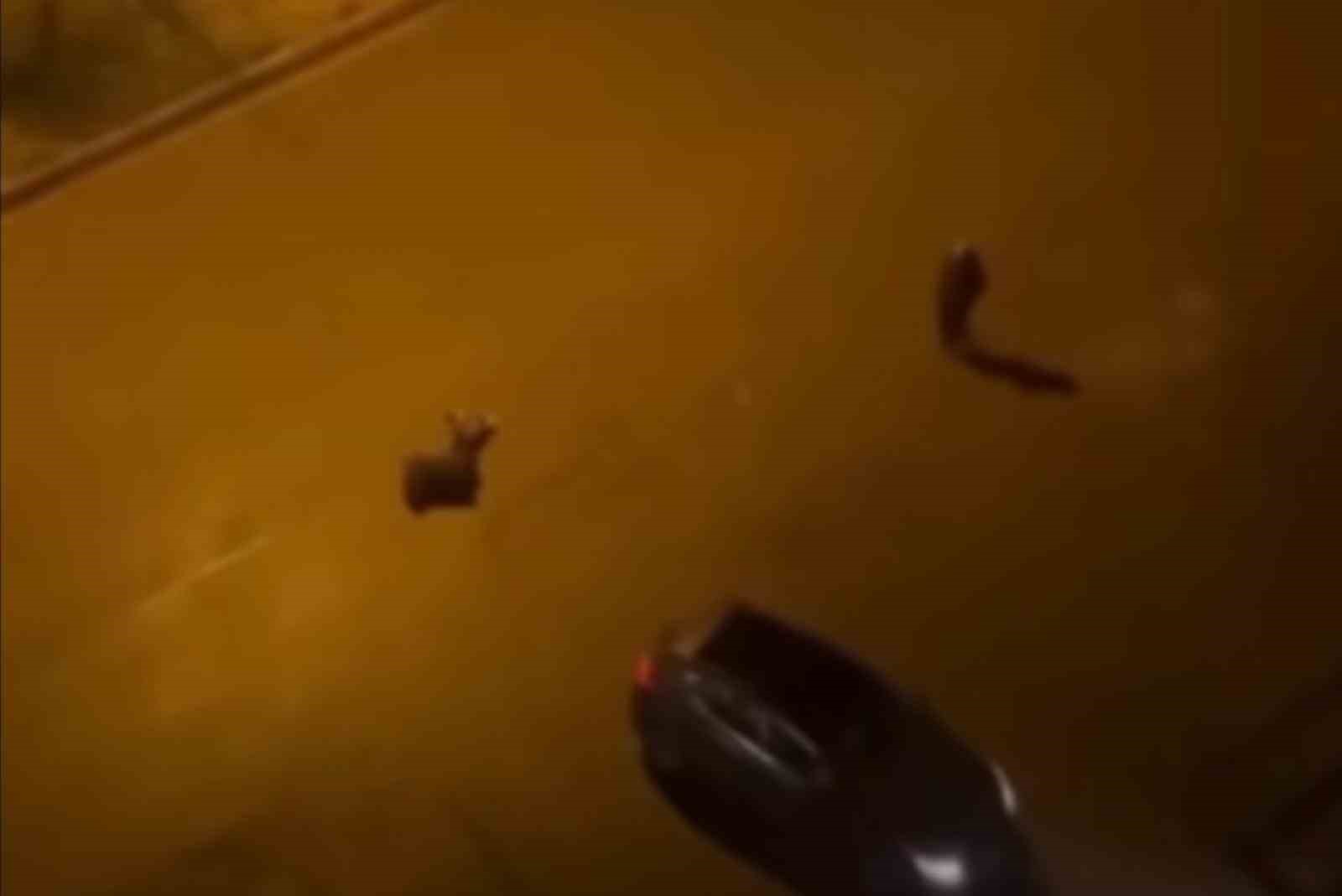 Batman’da cinayet: 2 ölü