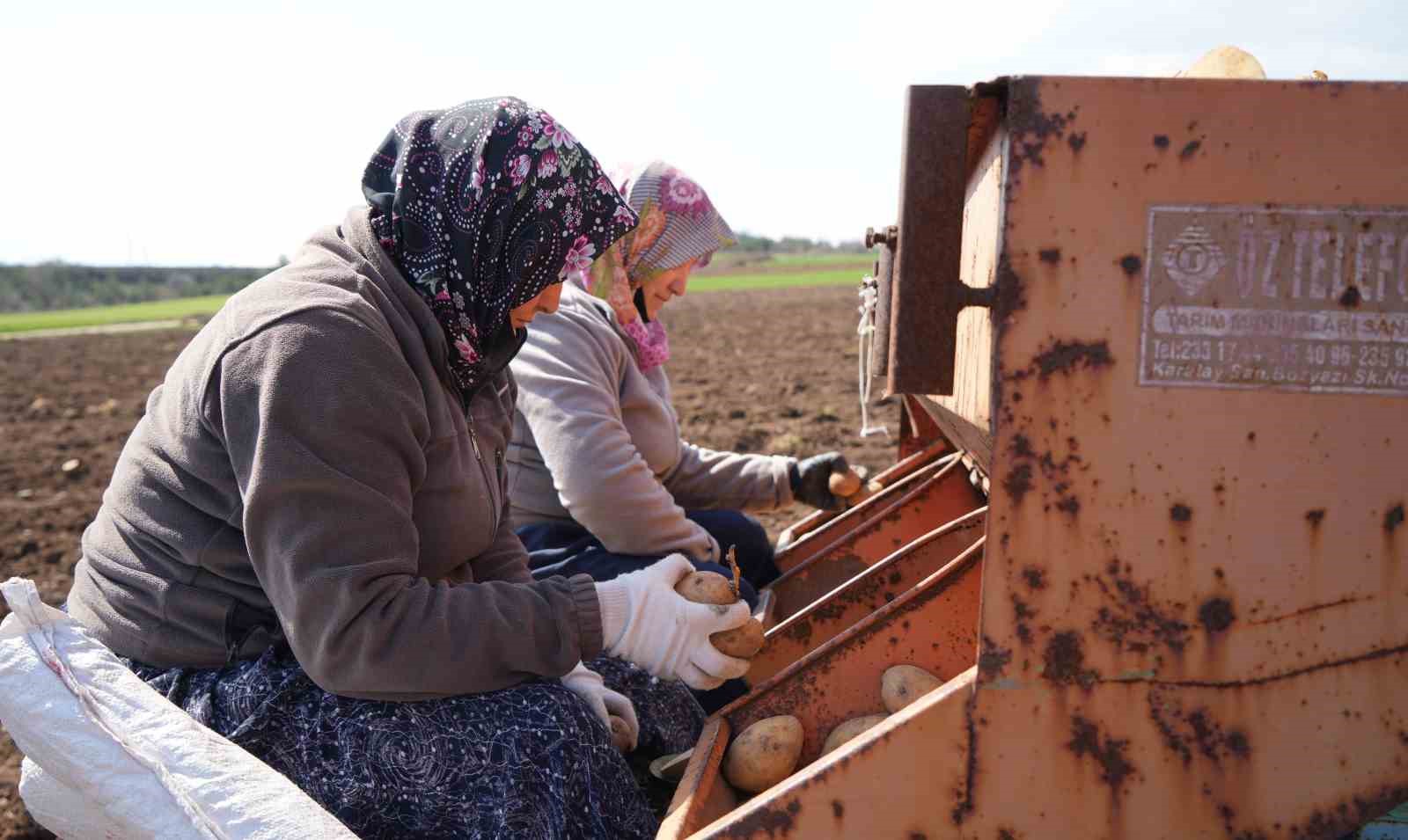 "Patates diyarı"nda çiftçiler ekim mesaisinde
