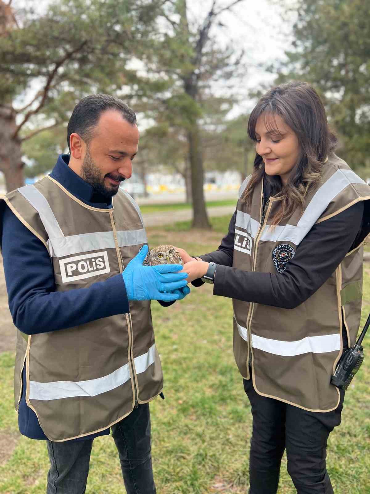 Yaralı halde bulunan yaralı baykuş yavrusu tedavi altına alındı
