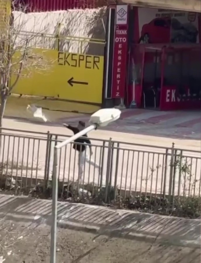 Yeni temizlenen kanallar yine kirletildi
