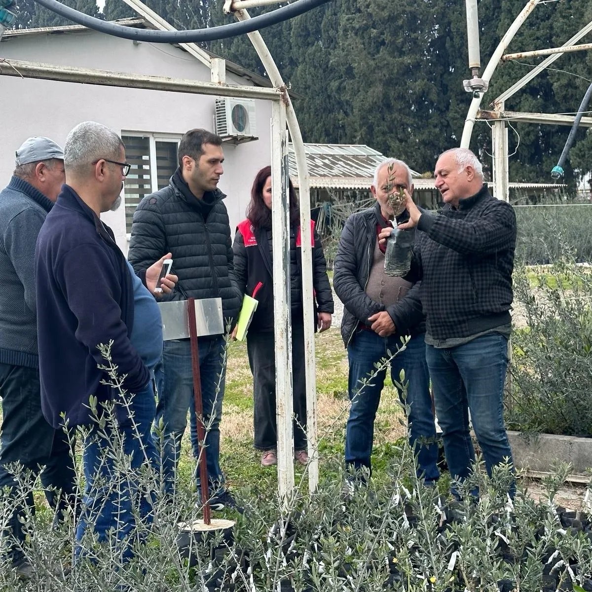 Edremit’te zeytin budama kursu yapıldı