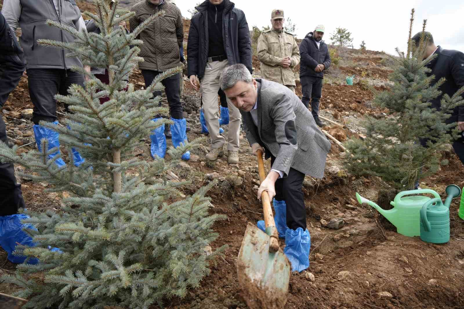 G&uuml;m&uuml;şhane&rsquo;de 3 bin fidan toprakla buluştu
