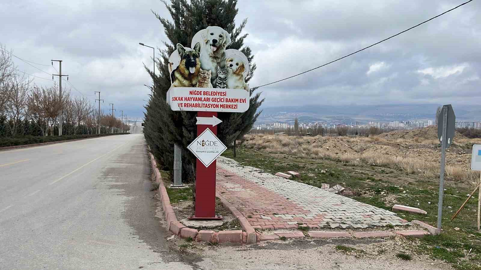 Niğde’de dövüştürüldüğü için koruma altına alınan köpekler çalındı
