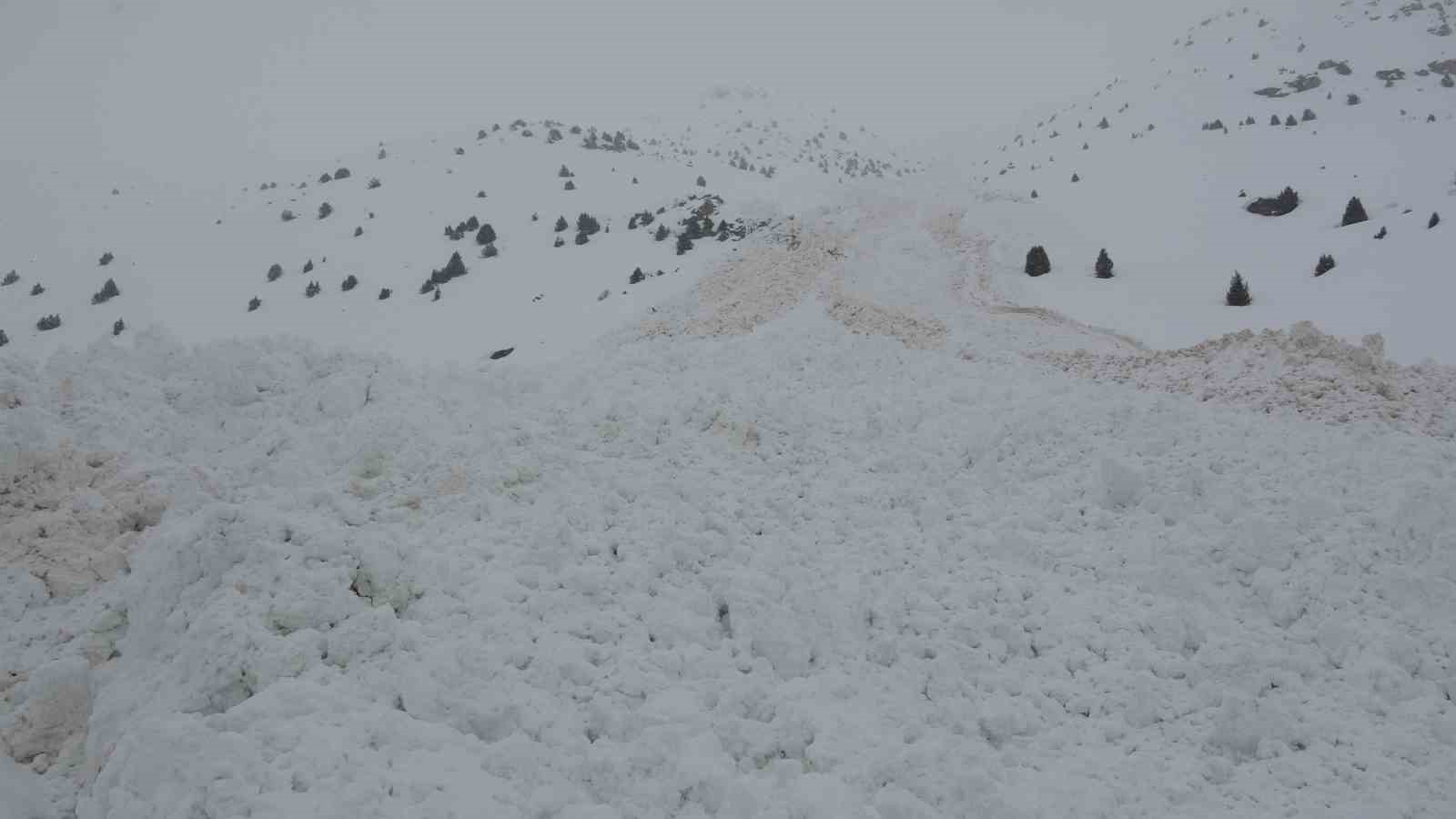 10 ayrı bölgeye çığ düştü: Ekipler yol açma çalışmalarını sürdürüyor
