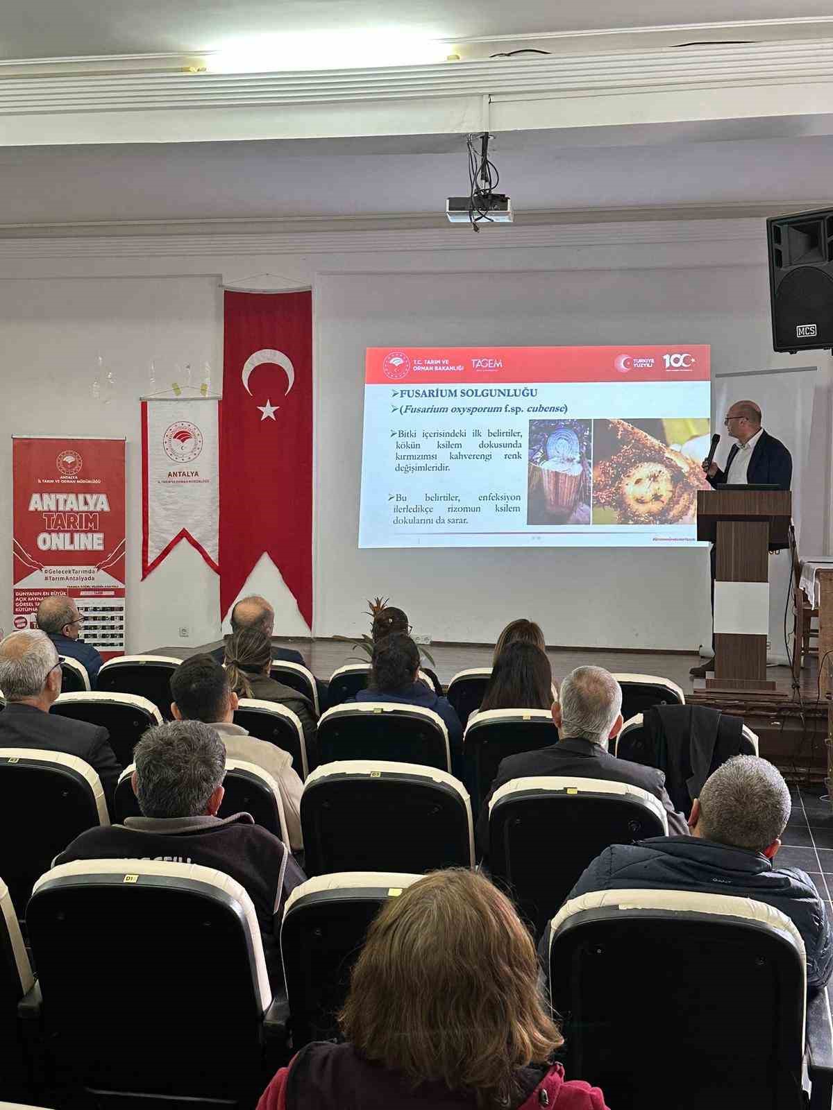 Gazipaşa’da tropik meyvelerde hastalık ve zararlılar anlatıldı
