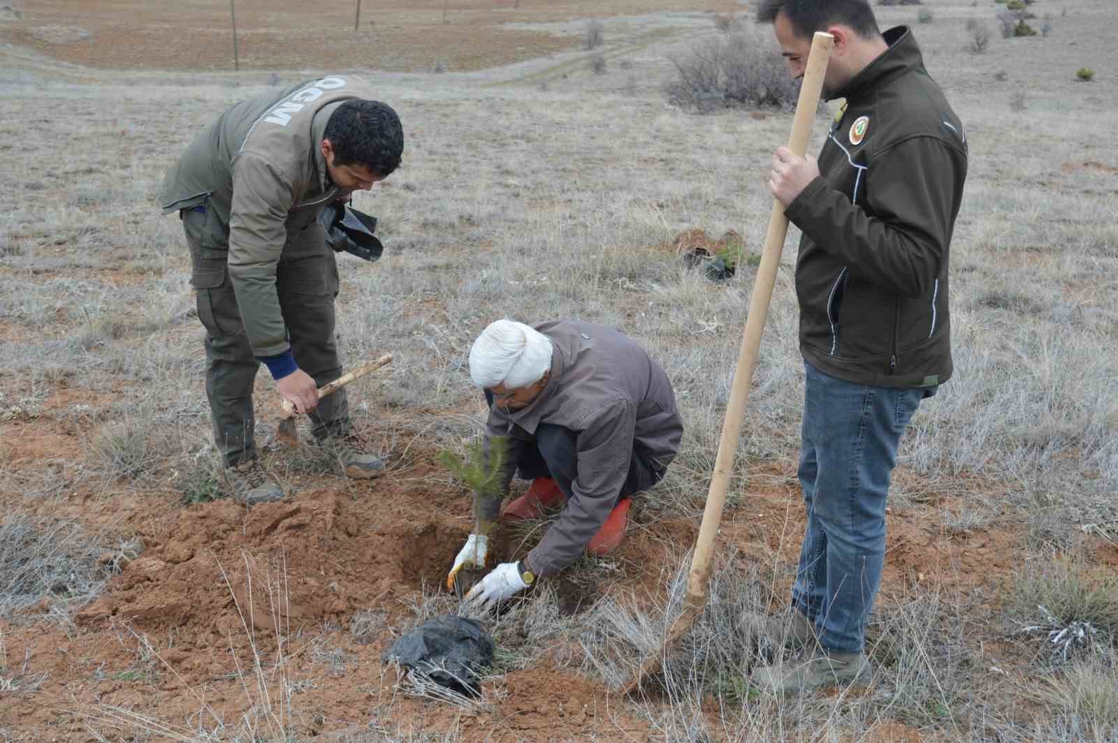 Kemah&rsquo;ta fidan dikim etkinliği d&uuml;zenlendi

