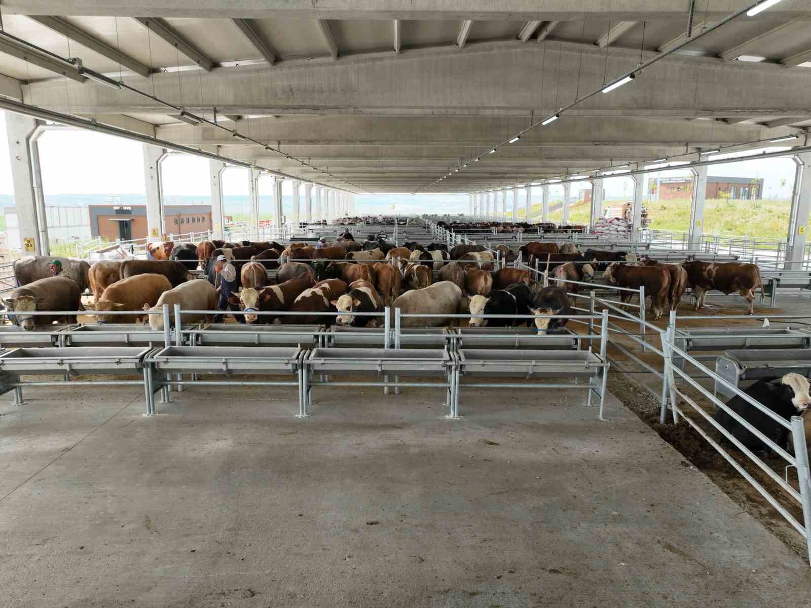 G&ouml;lbaşı&rsquo;nda canlı hayvan pazarı ve borsası kuruluyor
