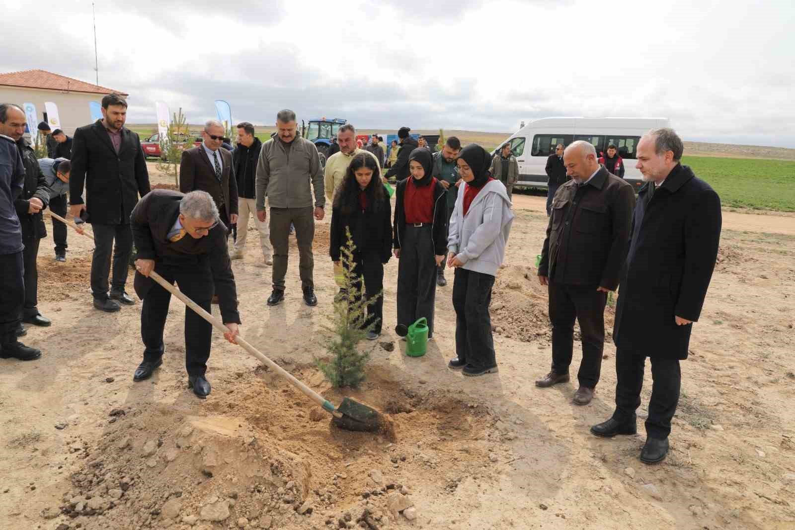Niğde&rsquo;de Bal Ormanı Kurulumunun 2. Etabı Ger&ccedil;ekleştirildi
