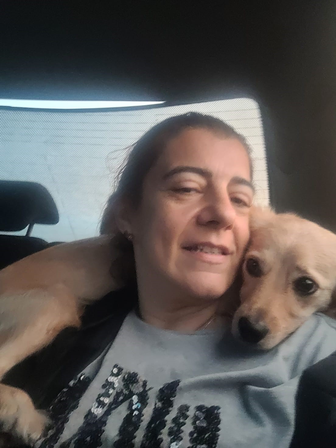 Aydın&rsquo;daki k&ouml;pek eğitmeni mağdurlarının sayısı artmaya başladı
