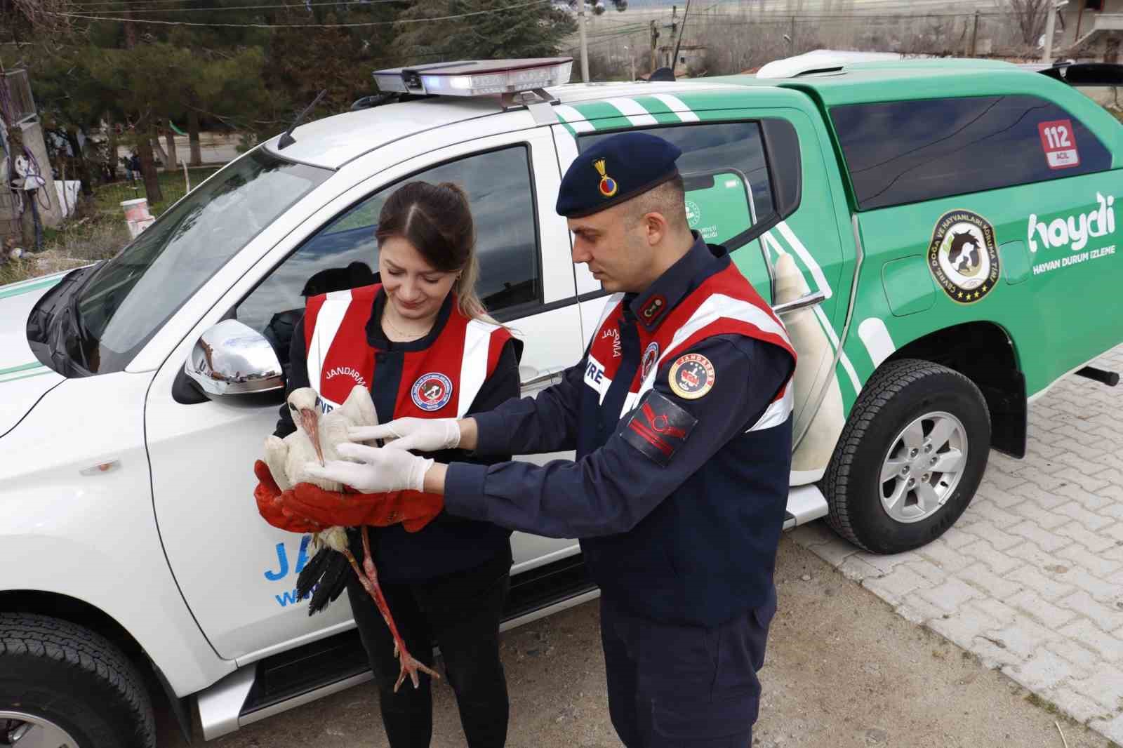 Isparta&rsquo;da bulunan yaralı leylek ekipler tarafından kurtarıldı
