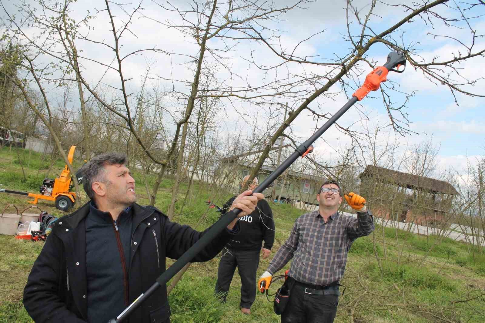 Örnek fındık bahçeleri oluşturuluyor