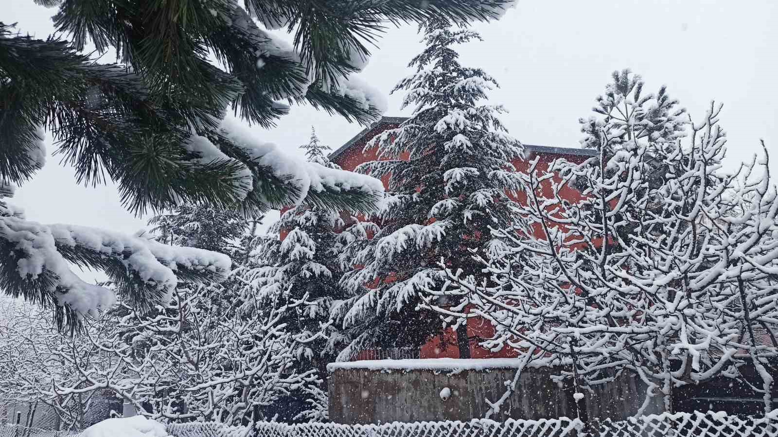 Ahlat&rsquo;ta mart karı etkili oluyor

