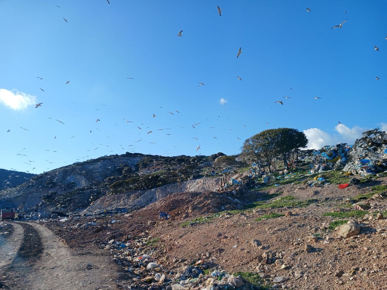 AK Parti&rsquo;li G&ouml;k&ccedil;eada Belediye Başkan adayı &Ouml;l&ccedil;ek&rsquo;ten, &ccedil;&ouml;p depolama alanı tepkisi
