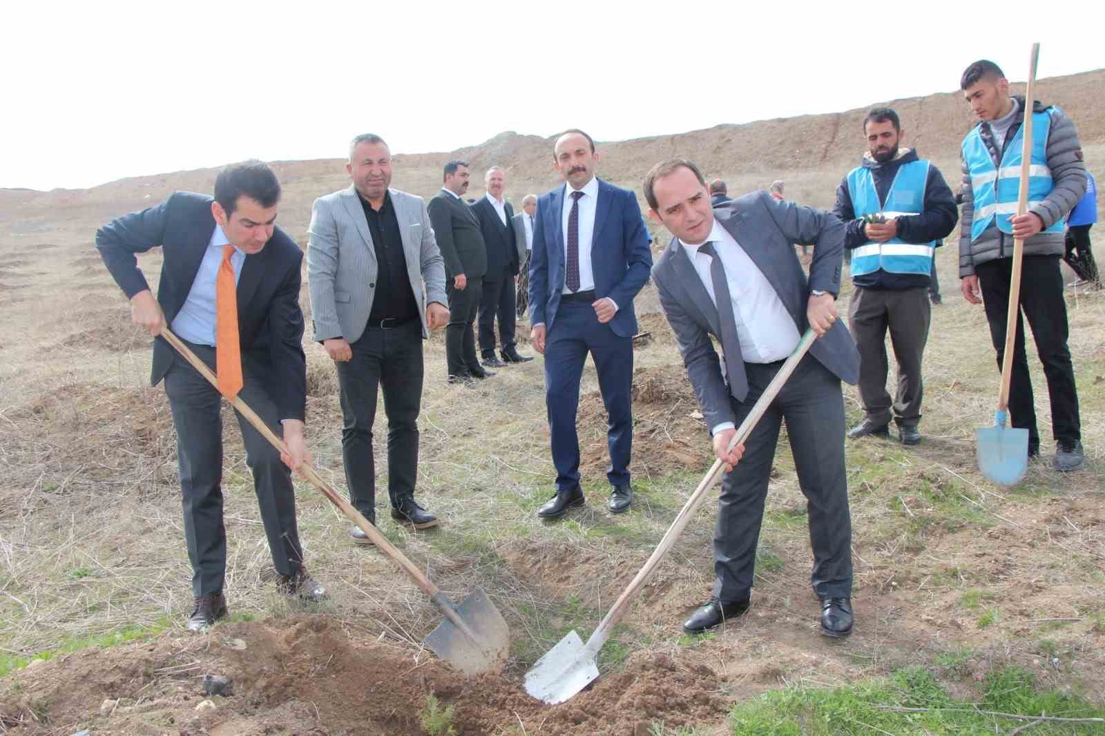 Sungurlu’da 500 fidan toprakla buluştu