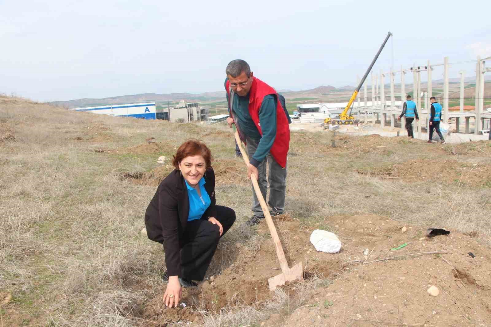 Sungurlu’da 500 fidan toprakla buluştu