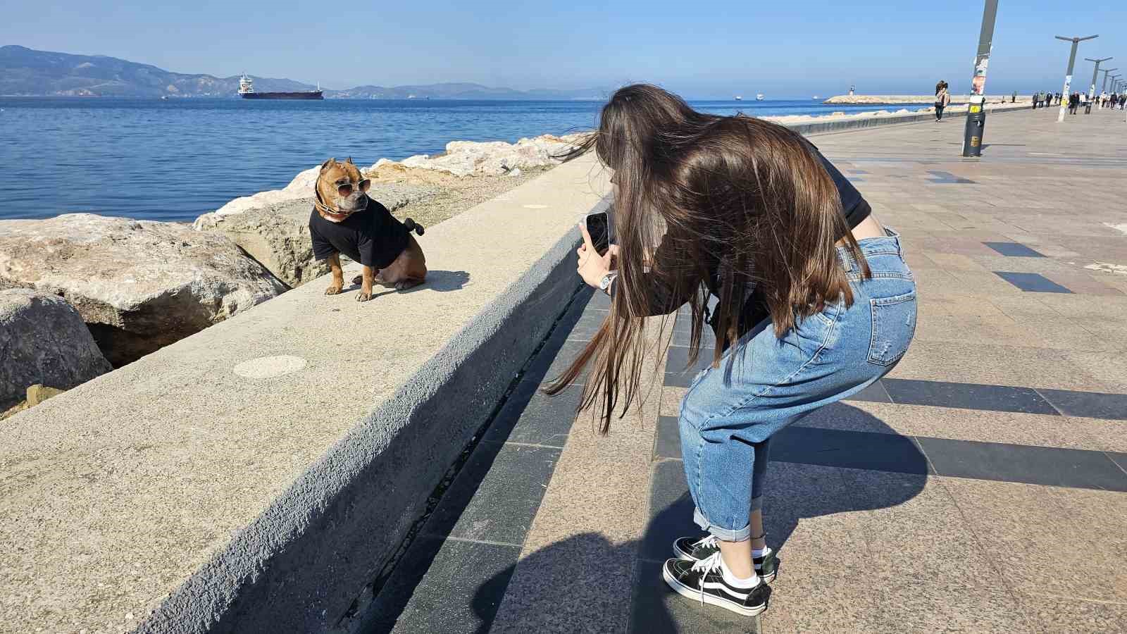 Pitbull Oscar’ın şıklığı göz kamaştırdı