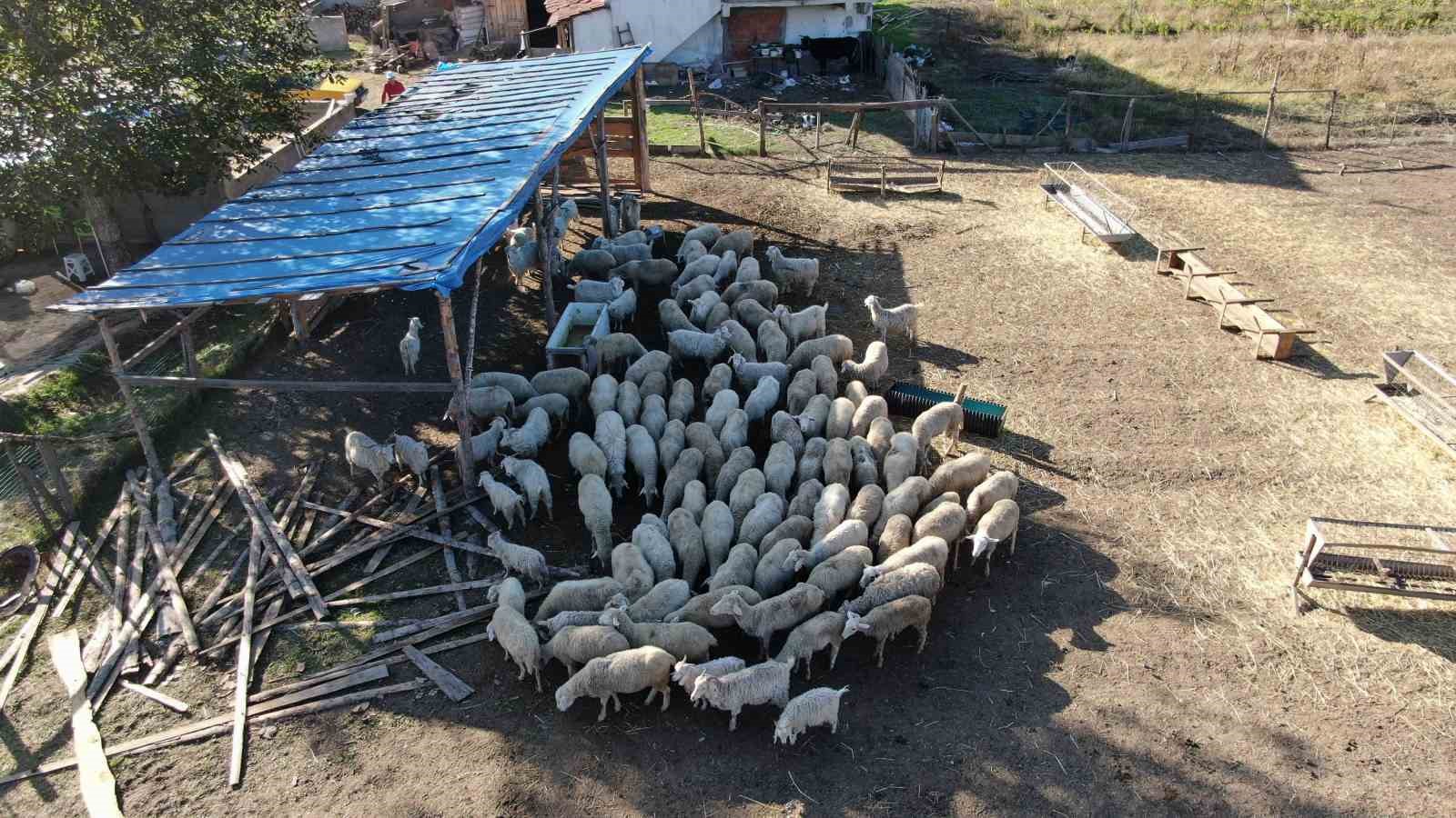 ehir hayatn brakp kye yerleti: Devlet destei ile gelirini  katna kard
