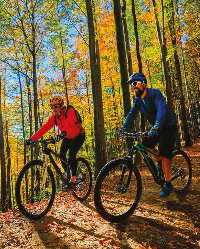 Heyecan ve doğa tutkunları için ATV güzergahları ve safari turları geliyor