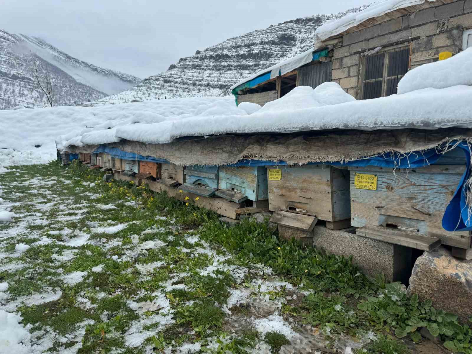 Şırnak’ta yalancı bahar, bal arılarını vurdu
