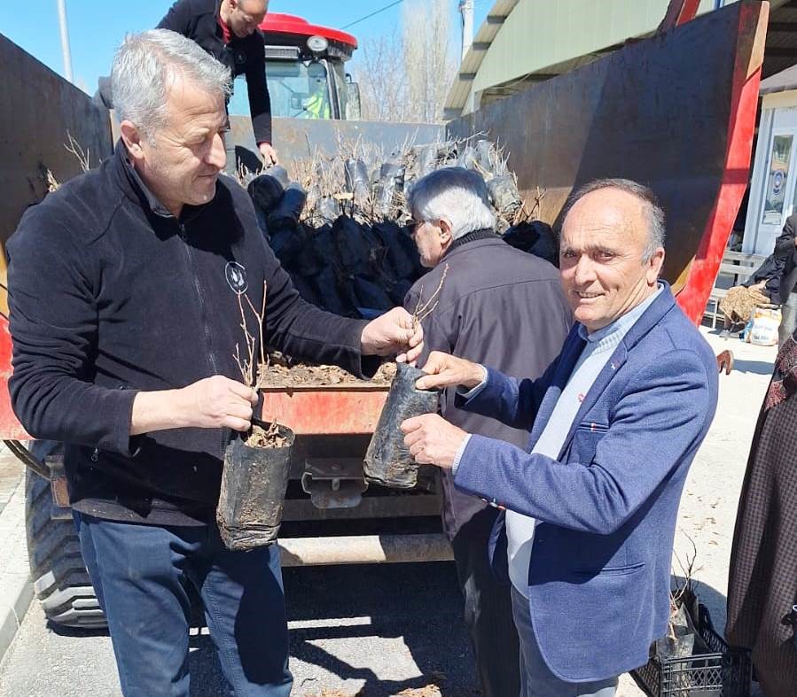 Hisarcık&rsquo;ta bin 800 meyve fidanı dağıtıldı
