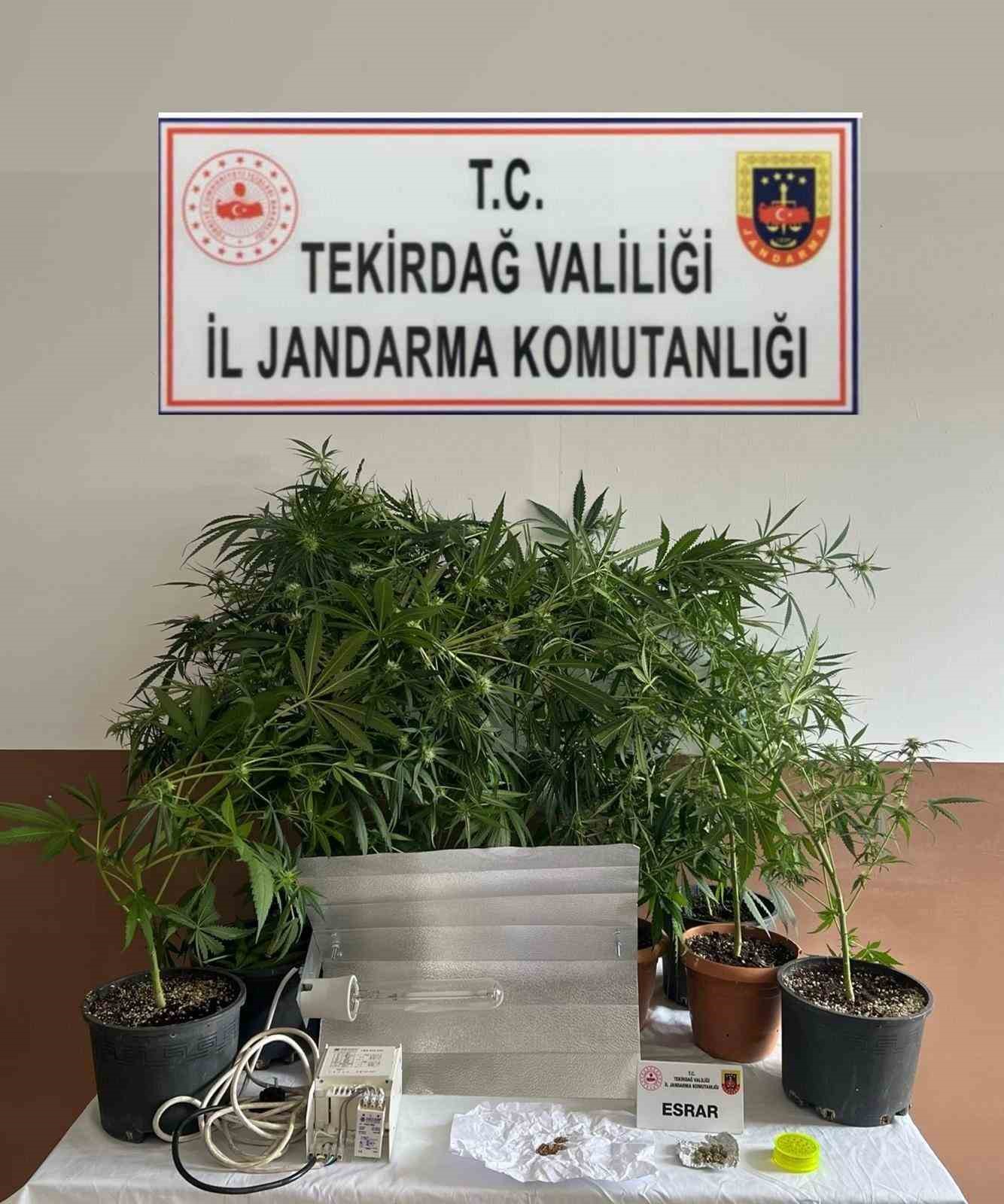 Jandarmadan uyuşturucuya ge&ccedil;it yok: 7 kişi yakalandı
