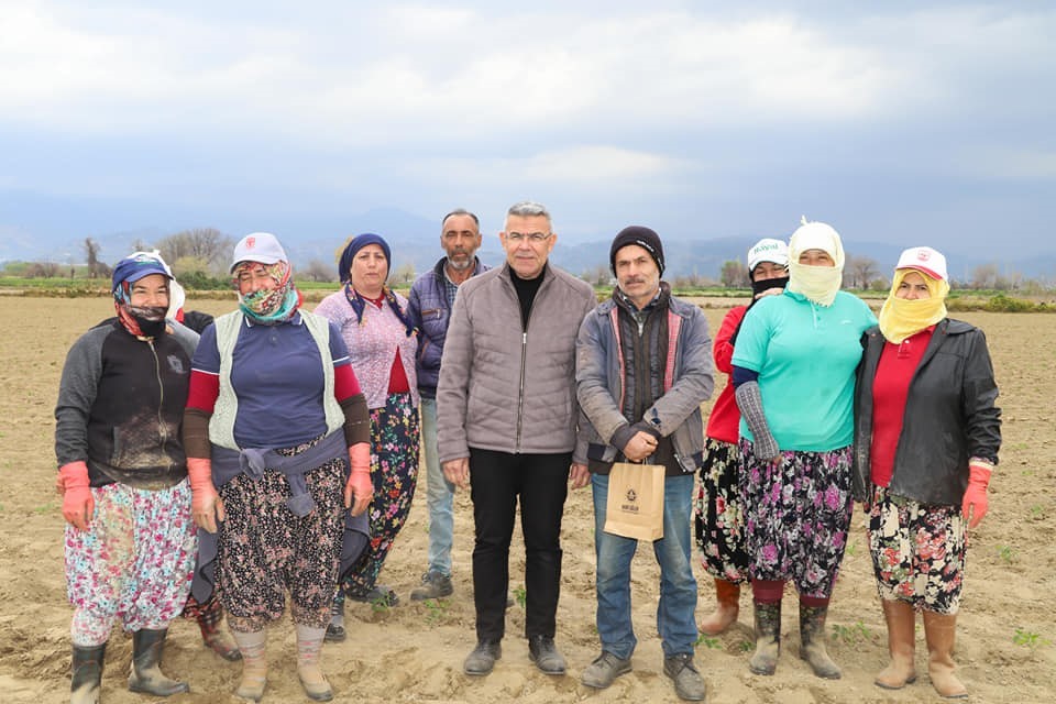 Başkan Güler, tarım işçileriyle domates fidesi dikti