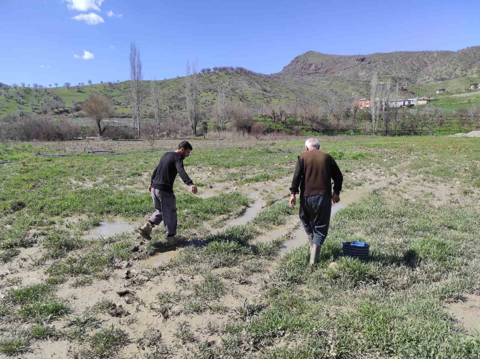 Sason’da şiddetli yağış sonrası dere taştı, çilek bahçesi su altında kaldı
