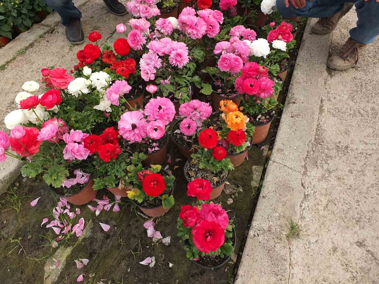 Burhaniye&rsquo; de &ccedil;i&ccedil;ek satışları arttı
