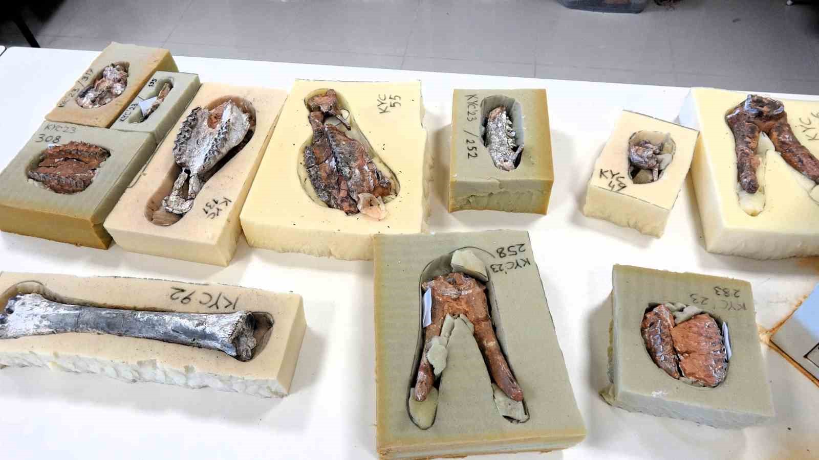 Beyağaç’ta Türkiye tek örnek olan fil dişi fosili bulundu