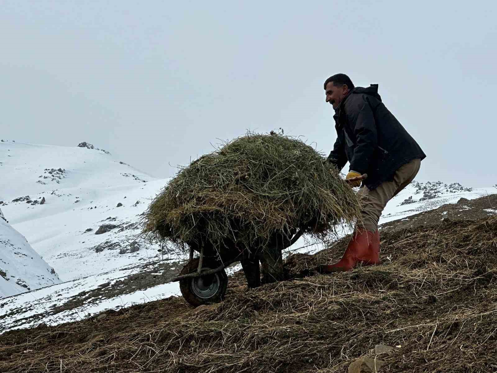 Yüksekova’da çiftçilerin kış zorluğu devam ediyor
