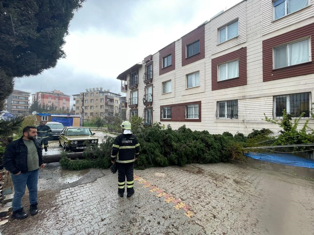 Antakya’da kuvvetli fırtına ağacı yola devirdi