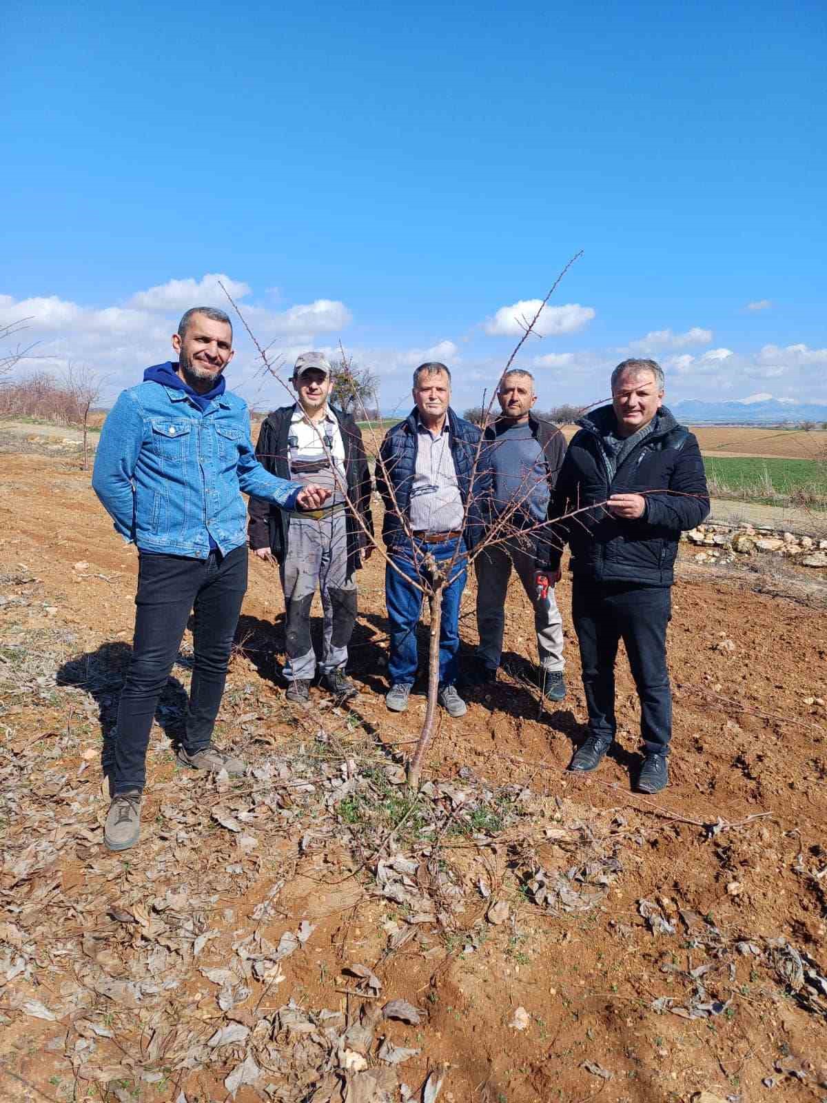 Üreticilere uygulamalı budama eğitimi