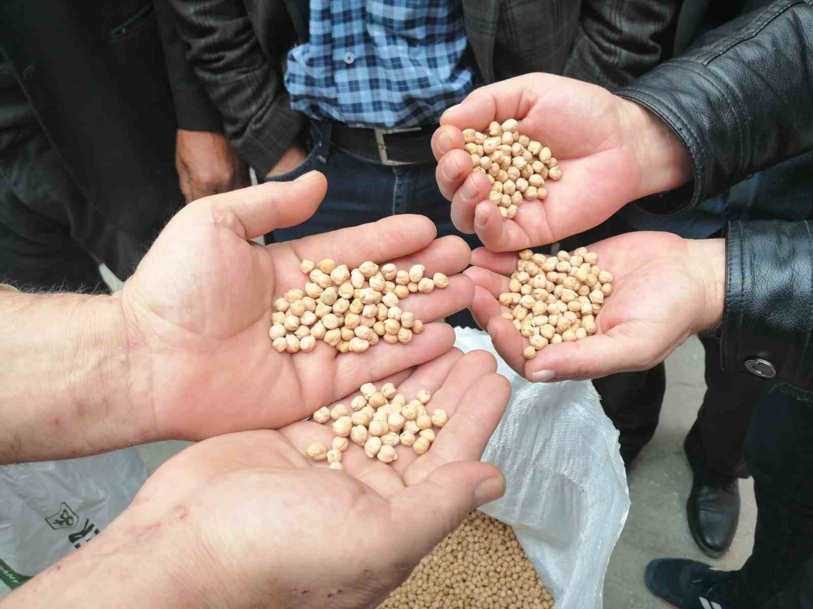 Niksarlı 301 çiftçiye nohut ve ayçiçeği tohumu dağıtıldı
