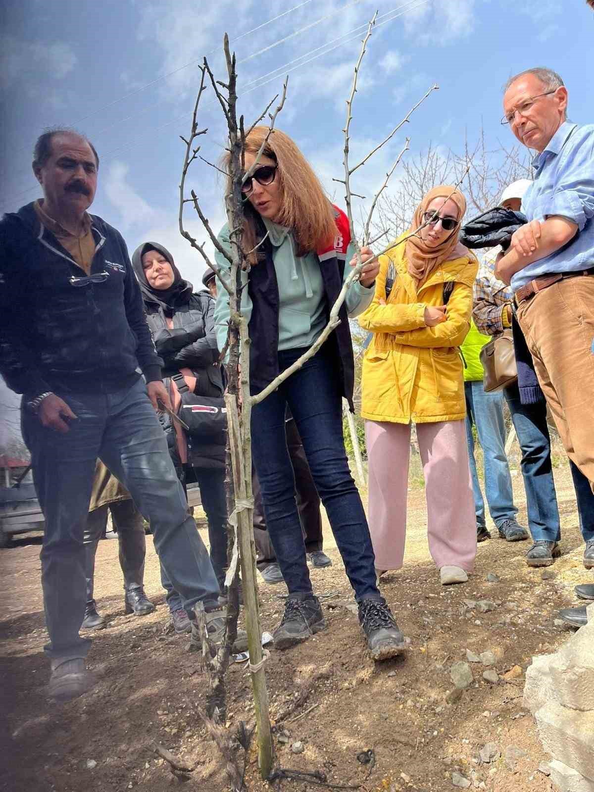 ’Meyve ağaçlarında Budama ve Aşılama’ kurslarında 845 kişi sertifika aldı