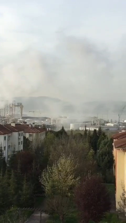 Körfezi duman kapladı, vatandaş telefonlara sarıldı

