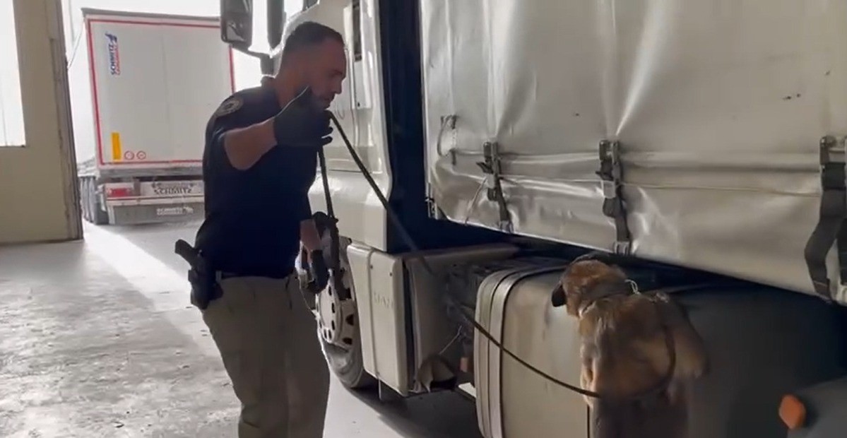 T&uuml;rkiye&rsquo;ye valizler dolusu uyuşturucu sokacaklardı: 218 kilogram skunk ele ge&ccedil;irildi
