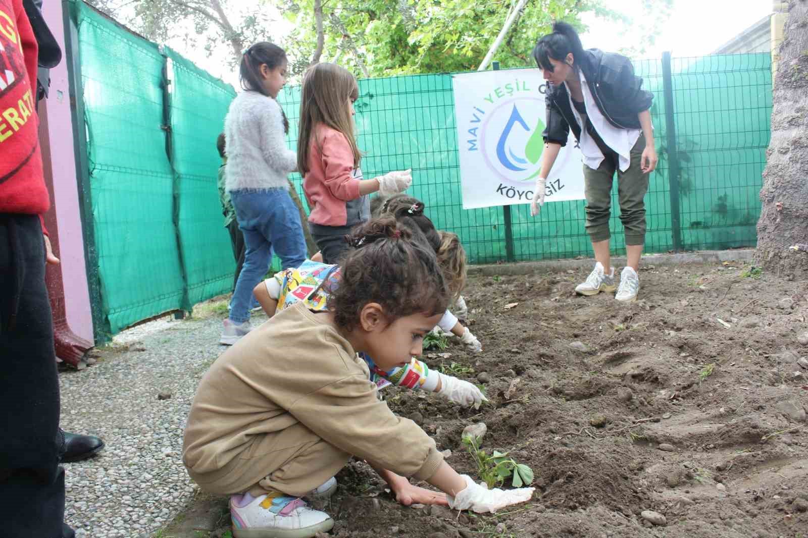 Köyceğiz’de minikler çilek fidelerini toprakla buluşturdu