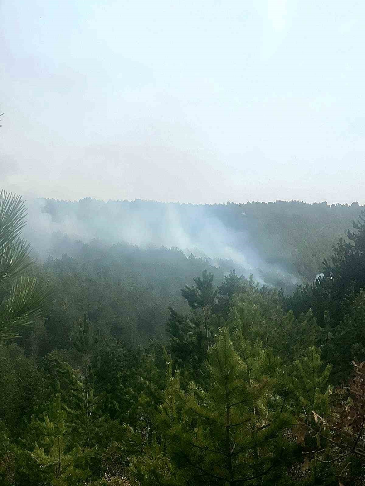 Eskişehir’de çıkan orman yangınında 1 hektarlık alan zarar gördü

